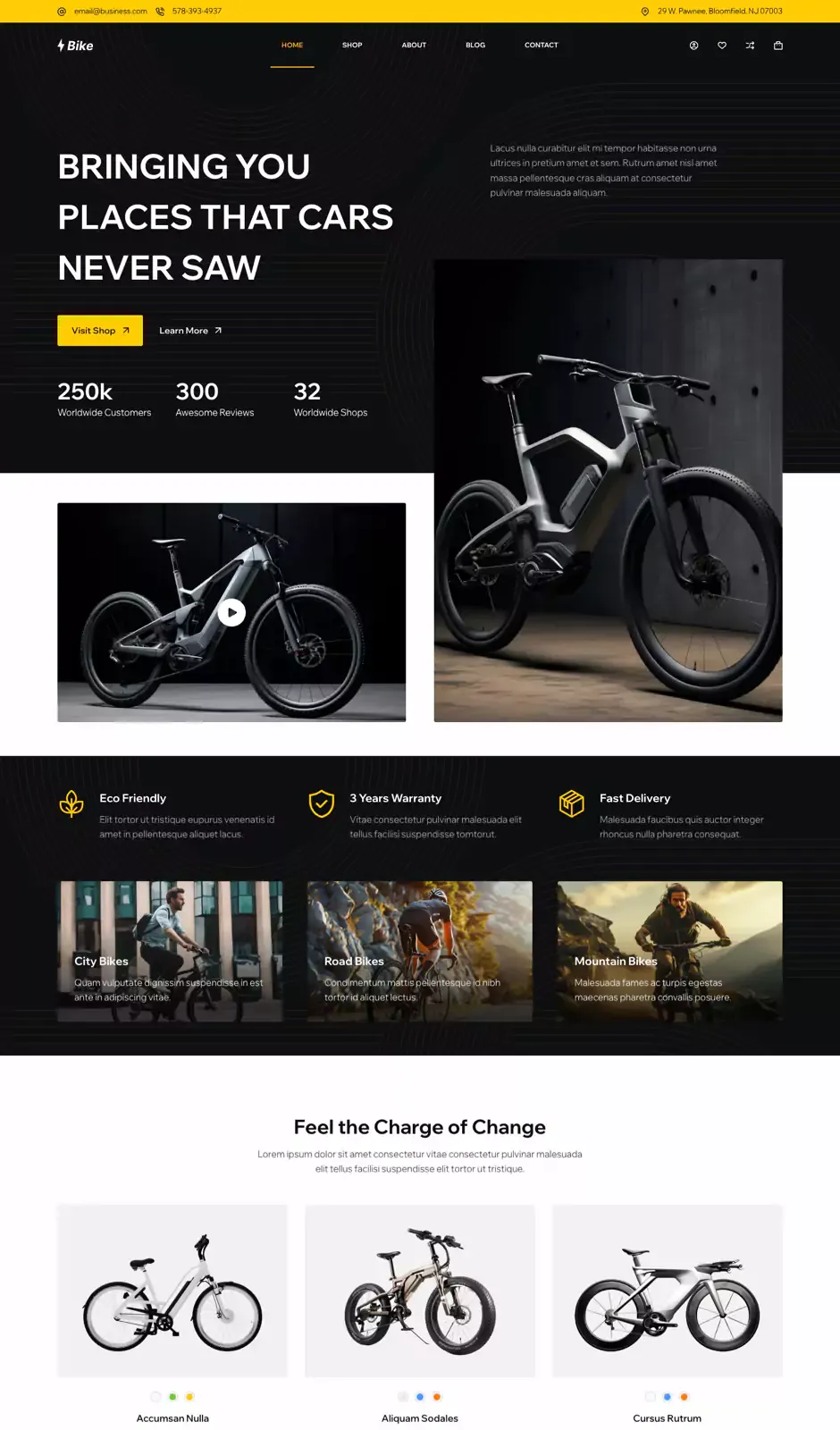 Превью стартового сайта E-Bike