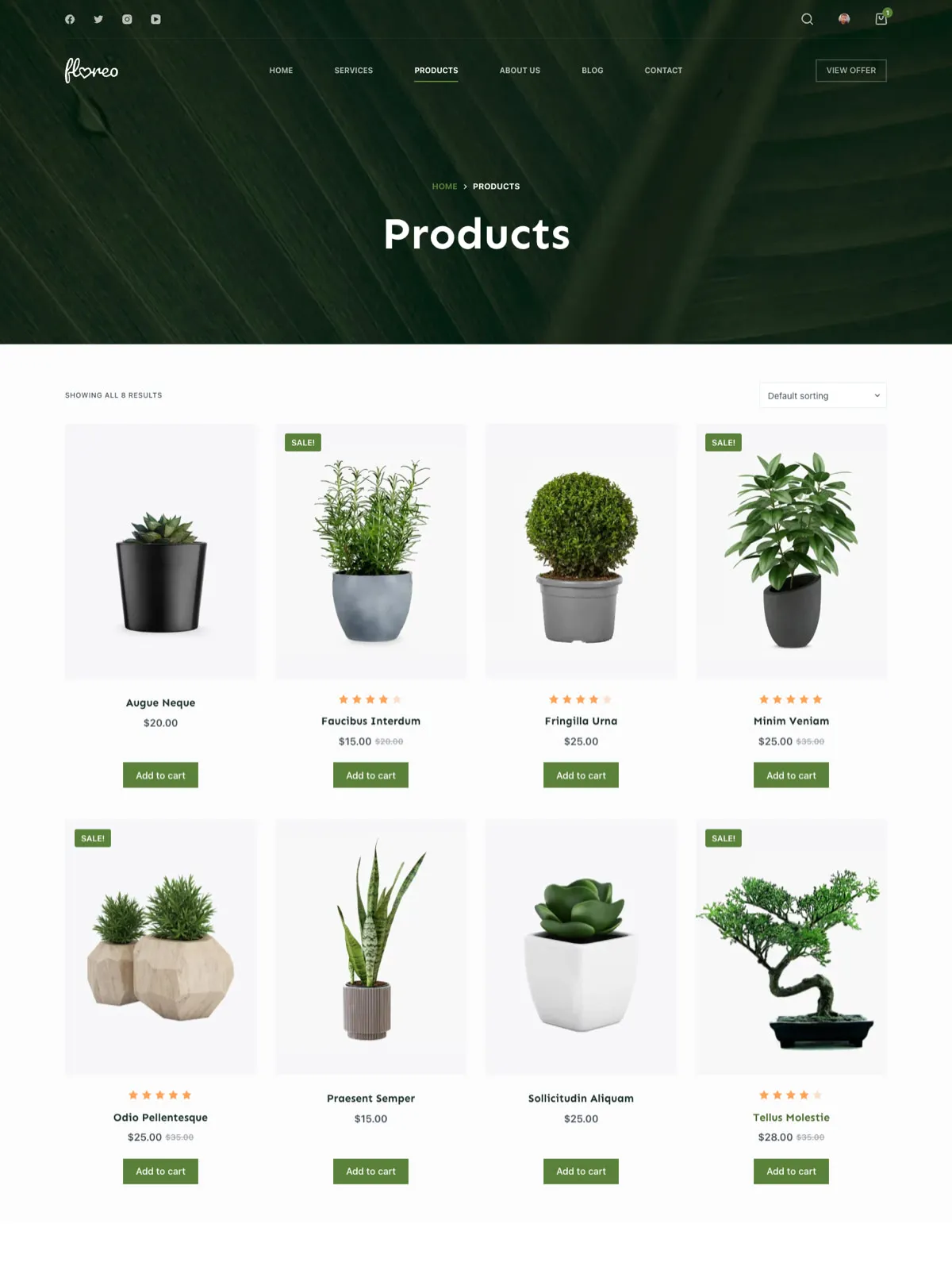 Floreo — Каталог