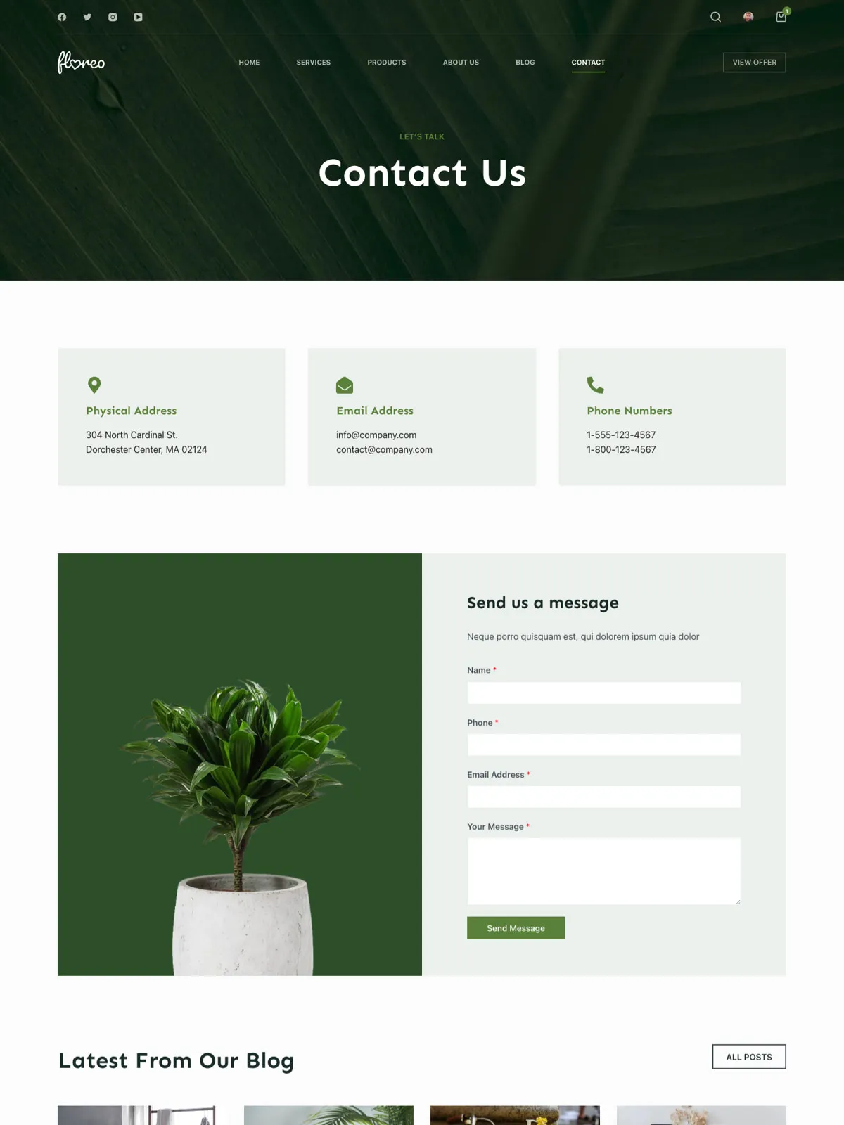 Floreo — Контакты