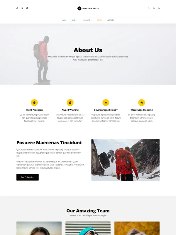 Modern Shop — О магазине
