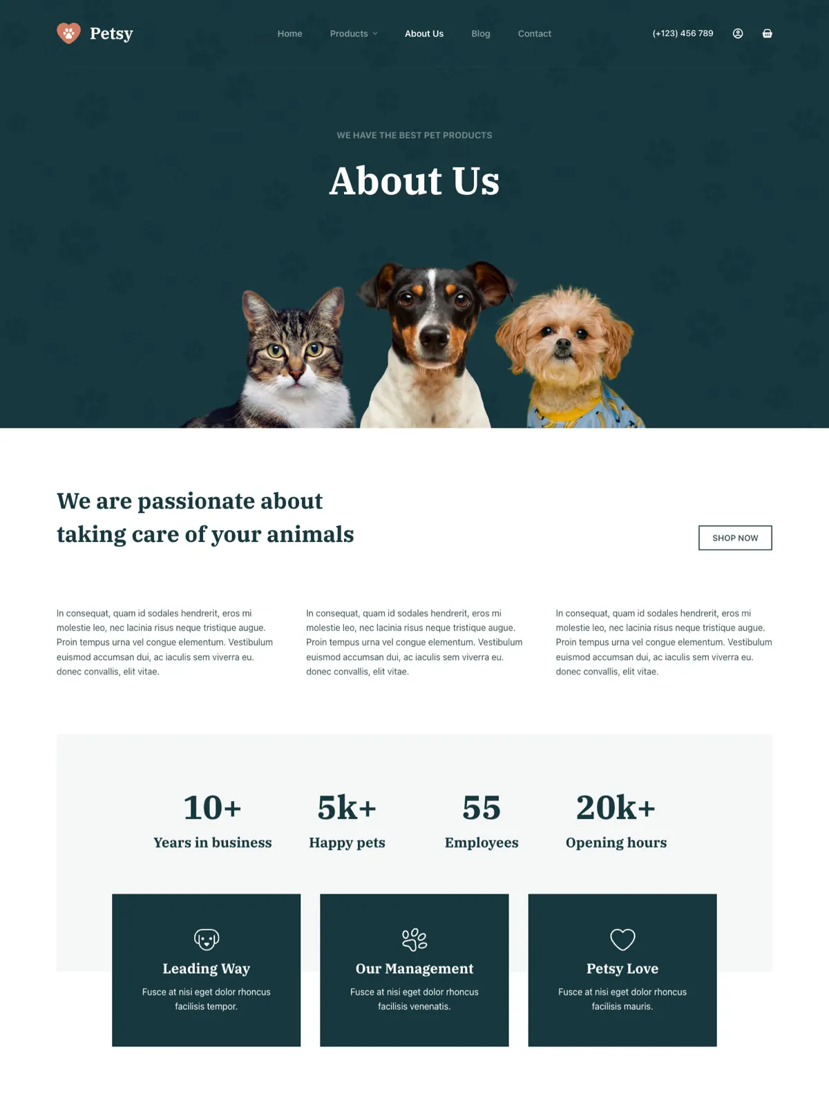 Petsy — О магазине