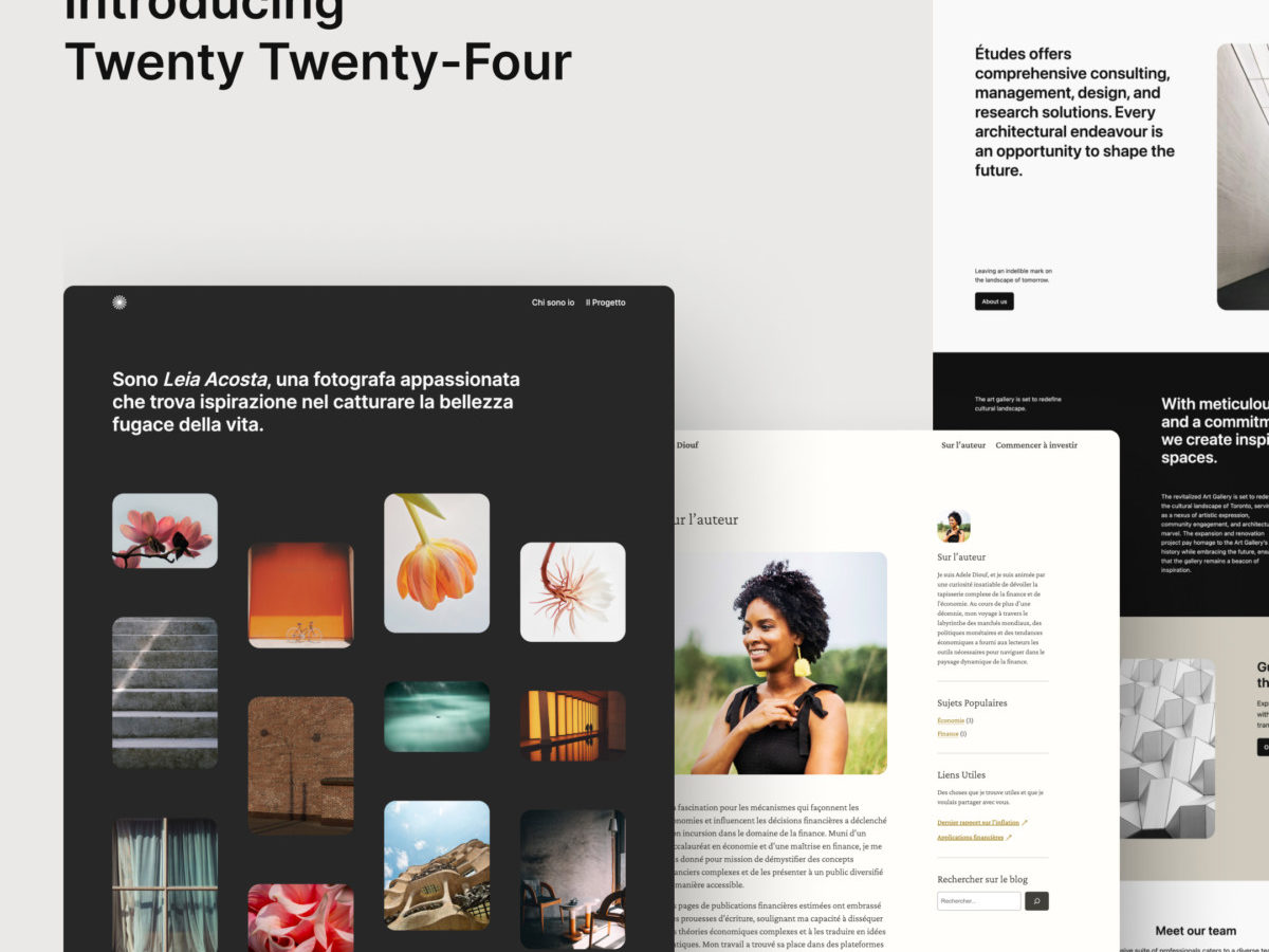 Введение в новую тему Twenty Twenty-Four (TT4) для WordPress